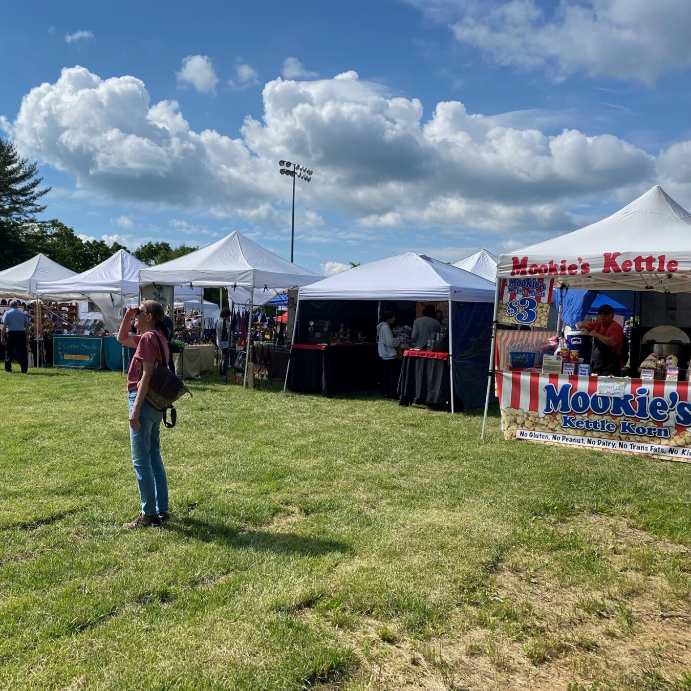 Avery County summer Fest.jpg